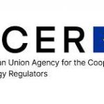 European Union Agency for the Cooperation of Energy Regulators (ACER)